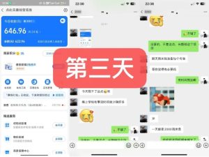 货币掘金项目，3天卖了2720！新项目内测组【限10人】-21资源库