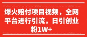 爆火赔付项目视频，全网平台进行引流，日引创业粉1W+【揭秘】-21资源库
