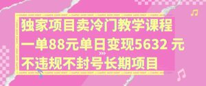 独家项目卖冷门教学课程一单88元单日变现5632元违规不封号长期项目【揭秘】-21资源库