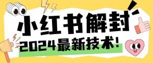 2024最新小红书账号封禁解封方法，无限释放手机号【揭秘】-21资源库