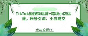 TikTok短视频运营+跨境小店运营，账号引流、小店成交-21资源库
