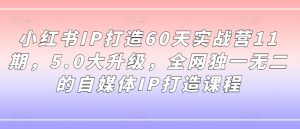 小红书IP打造60天实战营11期,5.0大升级,全网独一无二的自媒体IP打造课程-21资源库