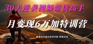 30天逆袭视频带货高手,单月变现6万加特训营-麦子甜-21资源库