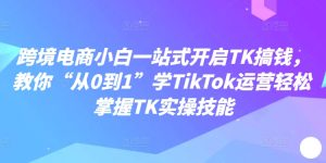 跨境电商小白一站式开启TK搞钱，教你“从0到1”学TikTok运营轻松掌握TK实操技能-21资源库