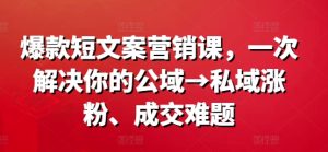 爆款短文案营销课，一次解决你的公域→私域涨粉、成交难题-21资源库