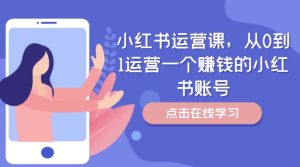 小红书运营课,从0到1运营一个赚钱的小红书账号-21资源库