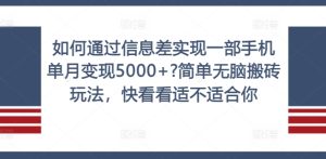 如何通过信息差实现一部手机单月变现5000+?简单无脑搬砖玩法,快看看适不适合你【揭秘】-21资源库