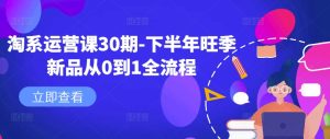 淘系运营课30期-下半年旺季新品从0到1全流程-21资源库