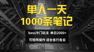 单人一天1000条笔记，日入2000+，BOSS直聘的正确玩法【揭秘】-21资源库