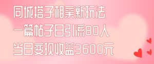 同城搭子相亲新玩法一篇帖子引流80人当日变现3600元(项目教程+实操教程)【揭秘】-21资源库