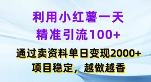 利用小红书一天精准引流100+，通过卖项目单日变现2k+，项目稳定，越做越香【揭秘】-21资源库