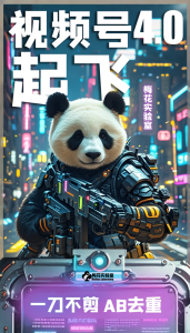 梅花实验窒微信视频号连怼玩法技巧起飞4.0一键AB破解版【揭秘】-21资源库