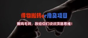 得物搬砖撸货项目?掰下数据，我给你们说说顶层思维【揭秘】-21资源库