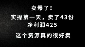 这个资源，需求很大，实操第一天卖了43份，净利润425【揭秘】-21资源库
