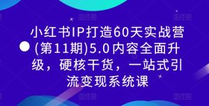 小红书IP打造60天实战营(第11期)5.0内容全面升级,硬核干货,一站式引流变现系统课-21资源库