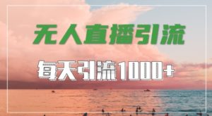 抖音快手视频号全平台通用,无人直播引流法,超暴力引流1000+高质量精准创业粉【揭秘】-21资源库