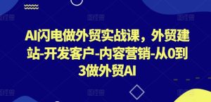 AI闪电做外贸实战课，​外贸建站-开发客户-内容营销-从0到3做外贸AI（更新）-21资源库