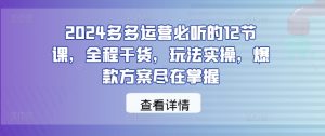 2024多多运营必听的12节课,全程干货,玩法实操,爆款方案尽在掌握-21资源库