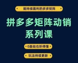 拼多多矩阵动销系列课,能持续盈利的多多矩阵,0基础也听得懂,玩法持续更新-21资源库