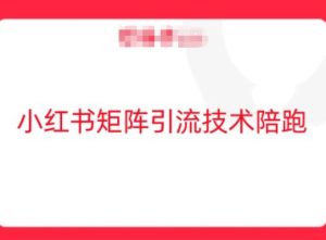 小红书矩阵引流技术，教大家玩转小红书流量-21资源库