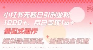小红书无脑每日引流创业粉500+,小白每天只花半小时,躺赚长尾收益【揭秘】-21资源库