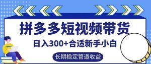 拼多多短视频带货日入300+有长期稳定被动收益,合适新手小白【揭秘】-21资源库