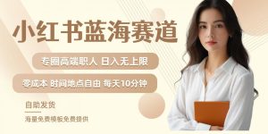 小红书蓝海赛道,圈中高端职场人,月入无上限,可矩阵,内含私域实操教程!-21资源库