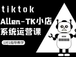 TK小店系统运营课-tiktok跨境电商教程-21资源库