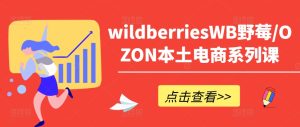 wildberriesWB野莓/OZON本土电商系列课，掌握WB产品优化，出单技巧和订单处理等-21资源库