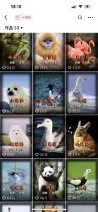 动物科普解说项目，撸创作者伙伴计划收益，保姆级实战教程-21资源库