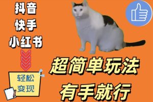 超简单玩法,有手就行,靠猫咪视频日入500+【揭秘】-21资源库