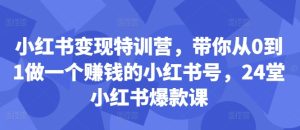 小红书变现特训营，带你从0到1做一个赚钱的小红书号，24堂小红书爆款课-21资源库