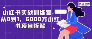 小红书实战训练营,从0到1,6000万小红书项目拆解-21资源库