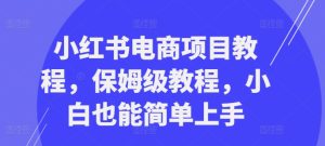 小红书电商项目教程,保姆级教程,小白也能简单上手-21资源库