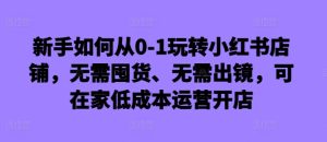 新手如何从0-1玩转小红书店铺，无需囤货、无需出镜，可在家低成本运营开店-21资源库