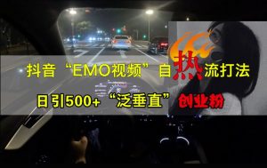 抖音EMO视频自热打法,日引500+“泛垂直”创业粉-21资源库