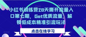 小红书训练营28天撕开流量入口第七期,Get优质流量,解锁低成本精准引流玩法-21资源库