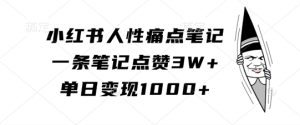 小红书人性痛点笔记,一条笔记点赞3W+,单日变现1k-21资源库