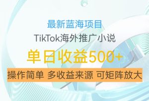 最新蓝海项目,利用tiktok海外推广小说赚钱佣金,简单易学,日入500+,可矩阵放大【揭秘】-21资源库