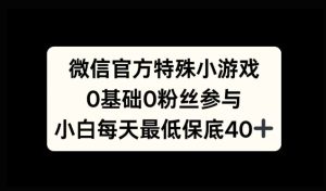 微信官方特定小游戏，0基础0粉丝，小白上手每天最少保底40+-21资源库