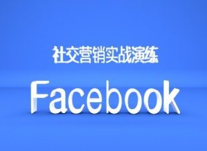 Facebook社交营销实战演练,外贸人绝对不能错过的营销推广平台-21资源库