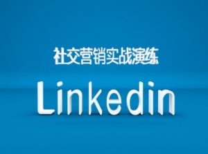 社交营销实战演练之Linkedin营销课程,B2B跨境外贸的新出路-21资源库