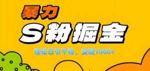 单人单机日引千粉，变现1k+，S粉流量掘金计划攻略【揭秘】-21资源库
