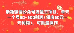 最新微信公众号流量主项目,单天一个号50-500利润(保底50元一天利润),可批量操作-21资源库
