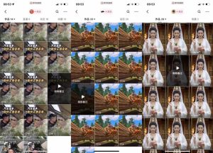 狗熊岭快手连怼技术,好物,涨粉都可以连怼-21资源库