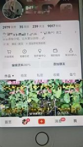 最新抖音暴力起万粉技术，一天涨万粉，发三四个作品涨近万粉-21资源库