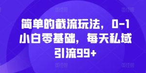 简单的截流玩法，0-1小白零基础，每天私域引流99+【揭秘】-21资源库