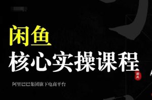 2024闲鱼核心实操课程，从养号、选品、发布、销售，教你做一个出单的闲鱼号-21资源库