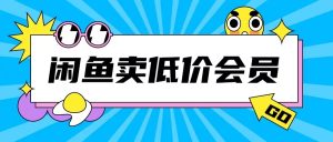 外面收费998的闲鱼低价充值会员搬砖玩法号称日入200+-21资源库