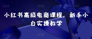 小红书高级电商课程，新手小白实操教学-21资源库